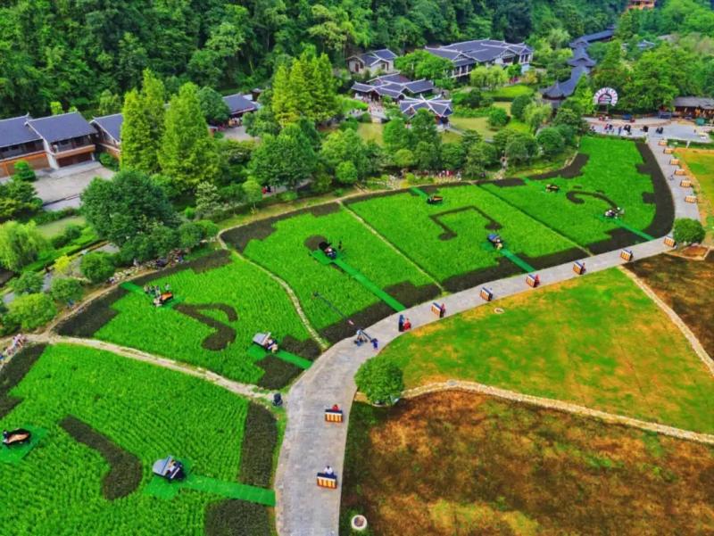 1556245016652017.jpg 微信圖片_20190426101631.jpg